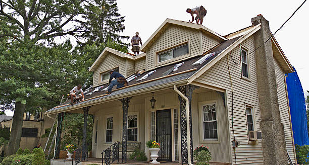 Best Shingle Roofing Installation  in Maple Heights, OH